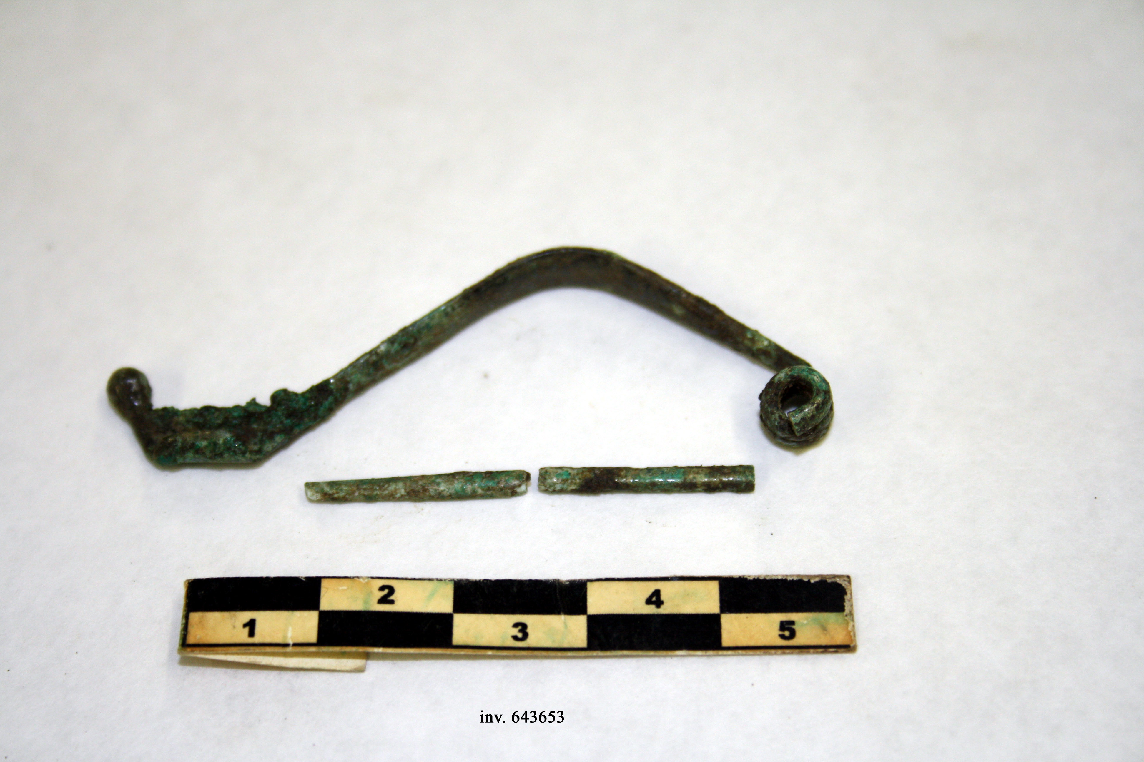 fibula, ad arco angolato, tipo Certosa (inizio/ meta' VI-V a. C)