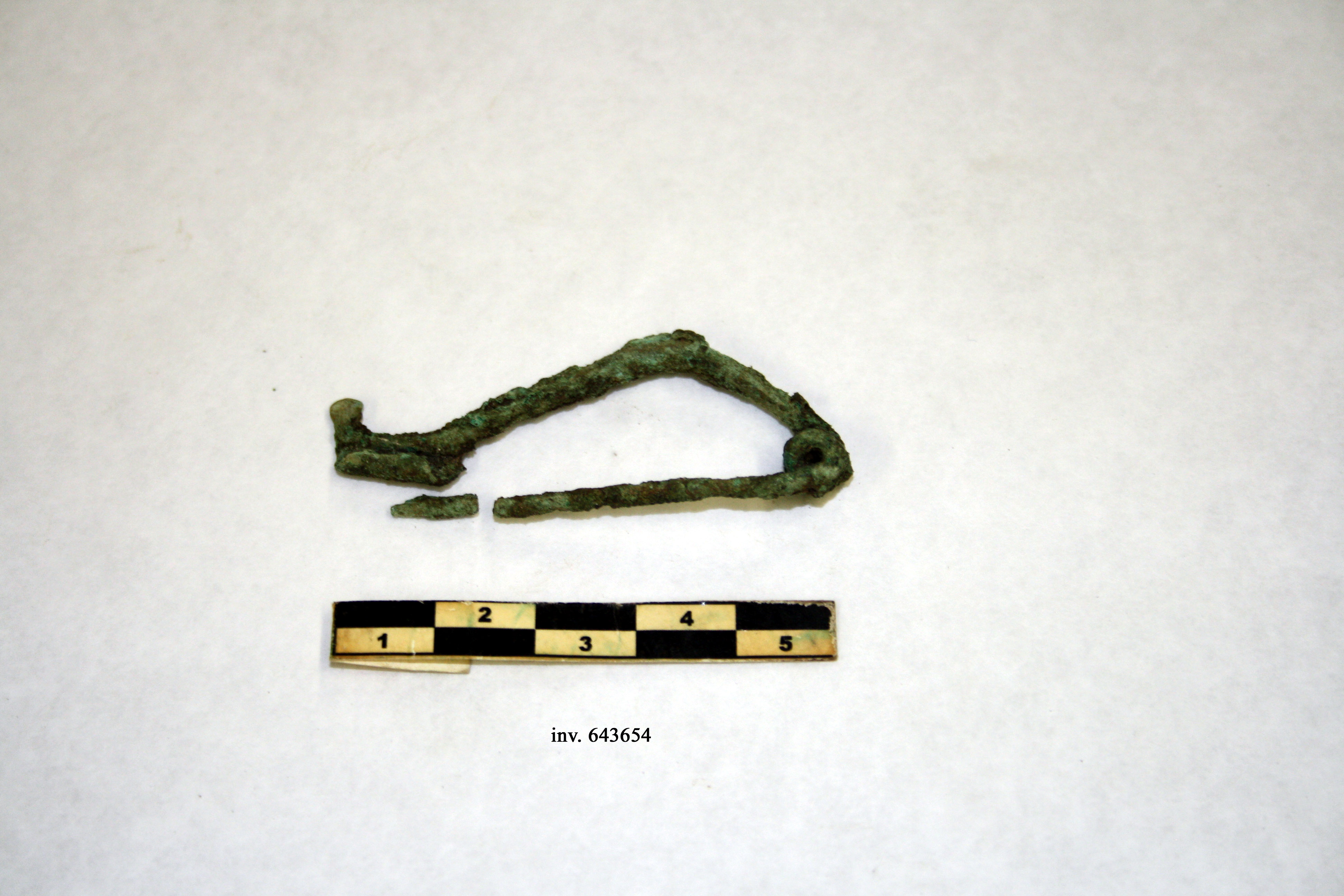 fibula, ad arco a gomito, tipo Certosa (inizio/ meta' V-IV a.C)