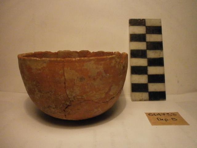 coppa, emisferica in ceramica comune (seconda meta' II a.C)