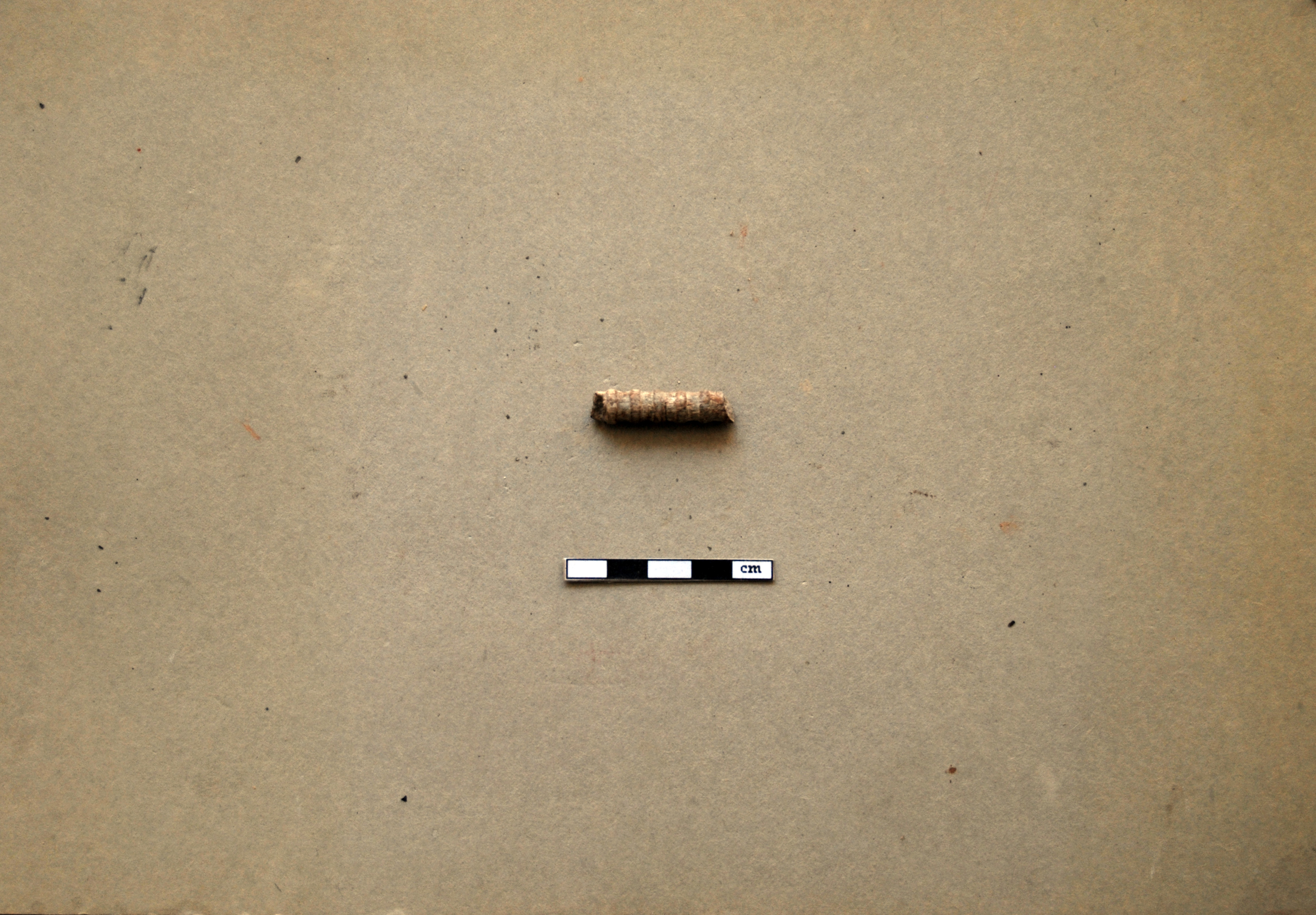 flabello (Eta' romana)