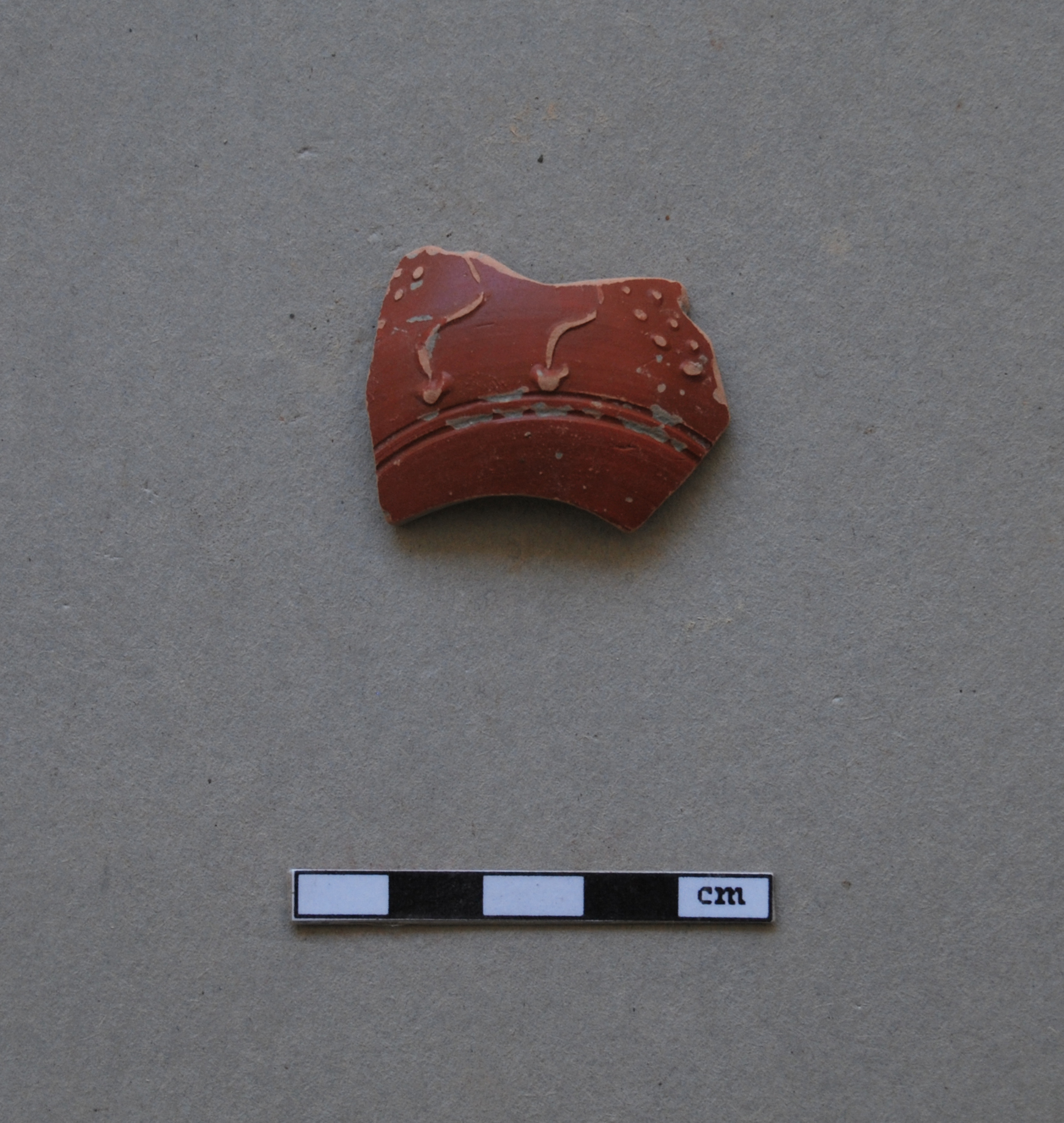 coppa, ceramica in terra sigillata tardo-italica (meta' Eta' romana imperiale)
