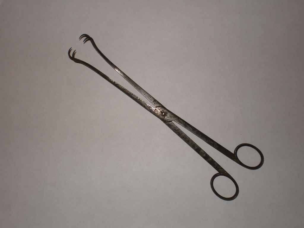 pinza curva a doppio dente (sec. XIX)