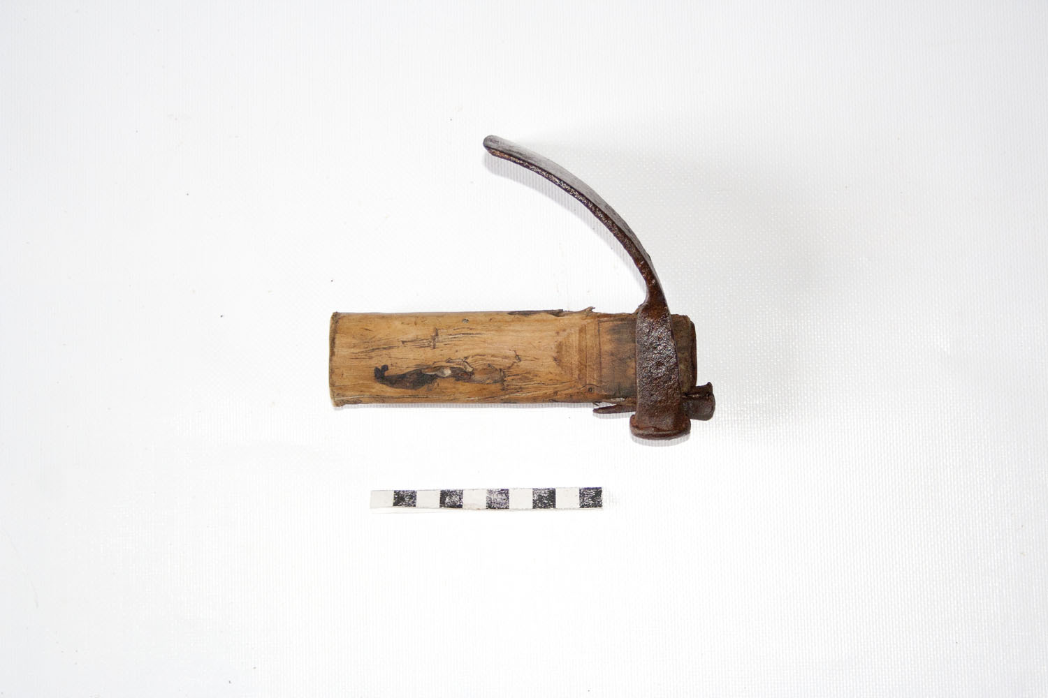 Ascia del bottaio, asce, strumento del falegname, bottaio di Cao Francesco (falegname intagliatore) - bottega di falegname (sec. XX prima metà)