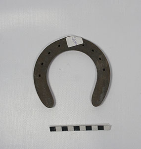 ferro di cavallo, strumento utilizzato durante la ferratura - ambito genonese (sec. XX prima metà)