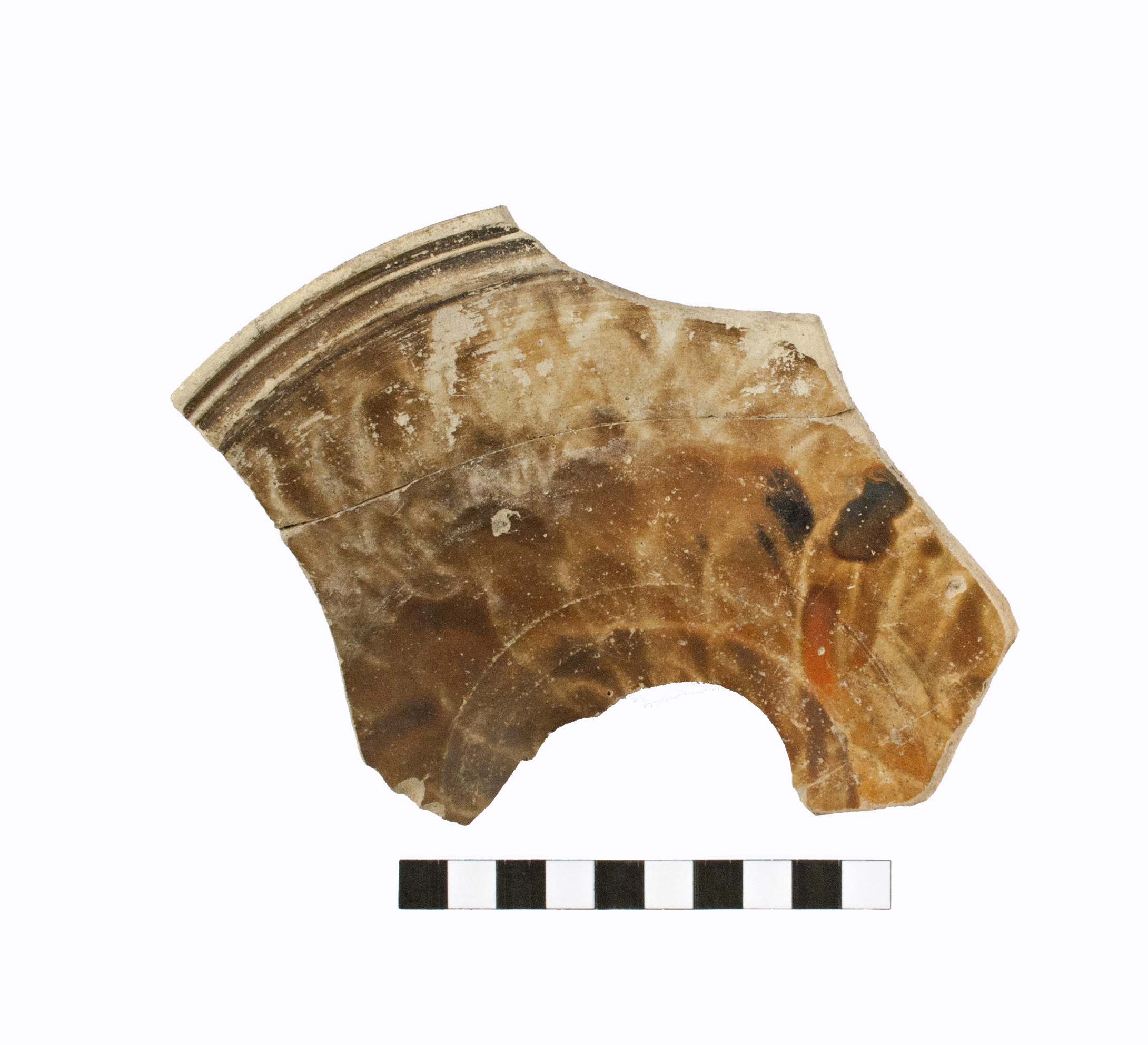 piatto, Morel 1640/ frammento fondo (età punica-età romana)