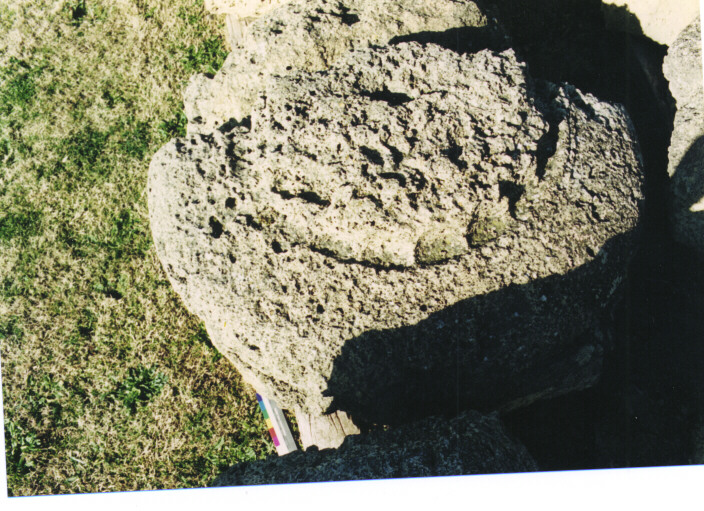 capitello dorico/ frammento - ambito acheo coloniale (terzo quarto sec. VI a.C)