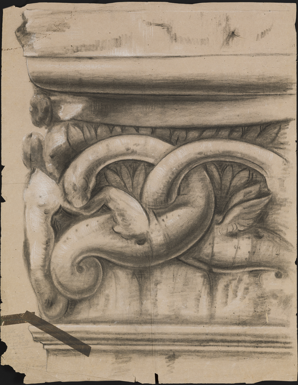 prospetto di capitello con draghi alati, foglie e figura umana acefala (disegno, opera isolata) di Isella Pietro (attribuito) (sec. XIX)