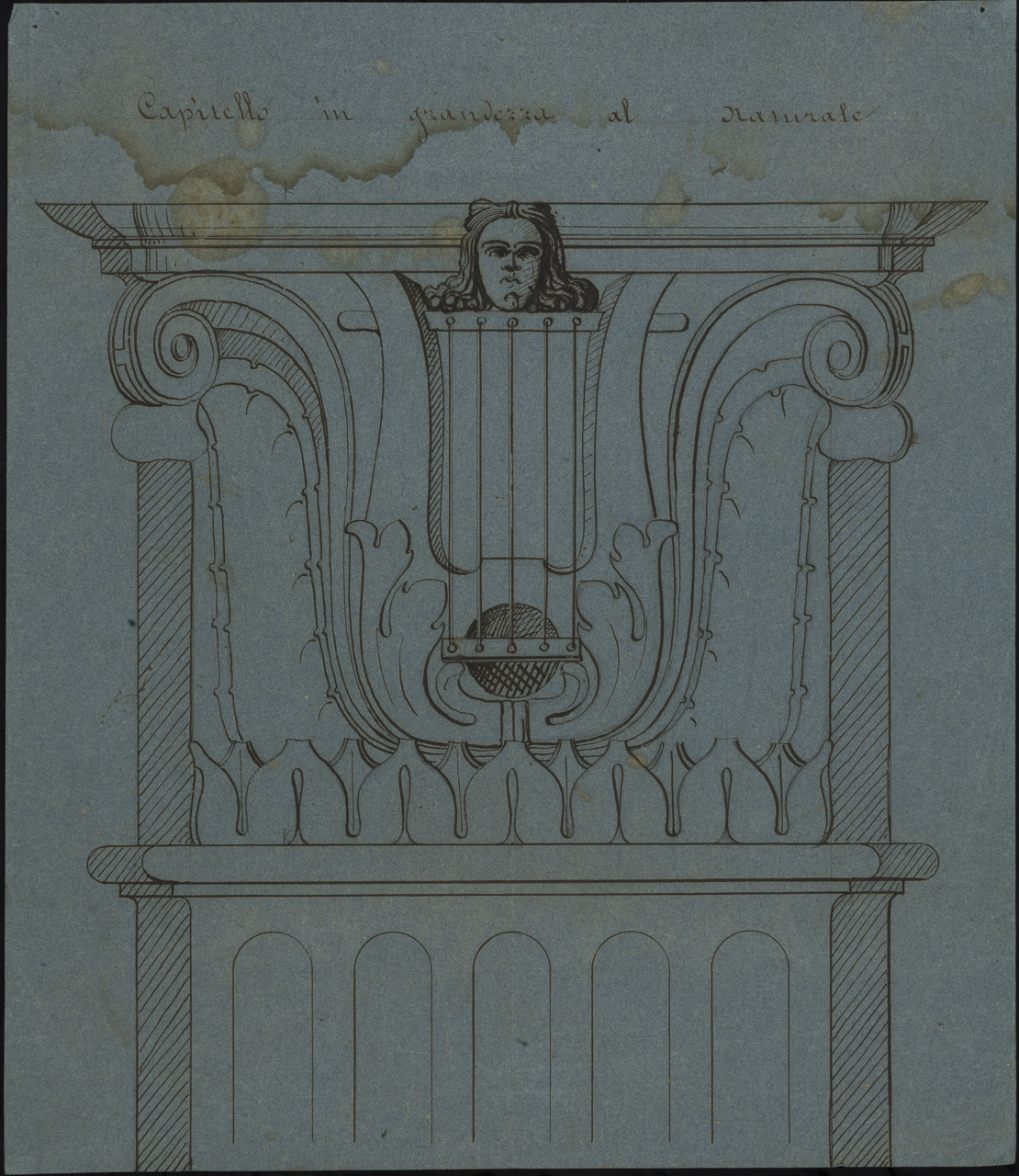prospetto di capitello con testina, lira e foglie d’acanto (disegno, opera isolata) di Arborio Mella Edoardo (cerchia) (sec. XIX)