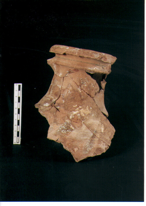 ANFORA - CIVILTA' PUNICA (SEC. V A.C)