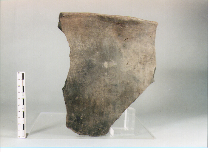 vaso/ frammento - CULTURA DI MONTE CLARO (III MILLENNIO a.C)