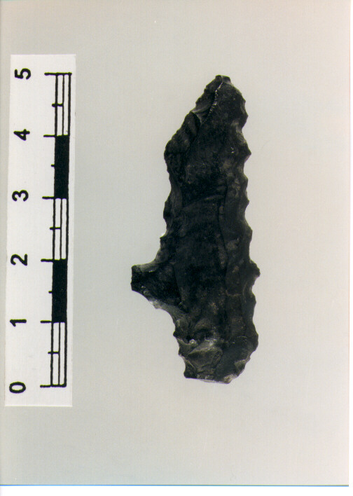 PUNTA - NEOLITICO ANTICO MEDITERRANEO (VI MILLENNIO a.C)