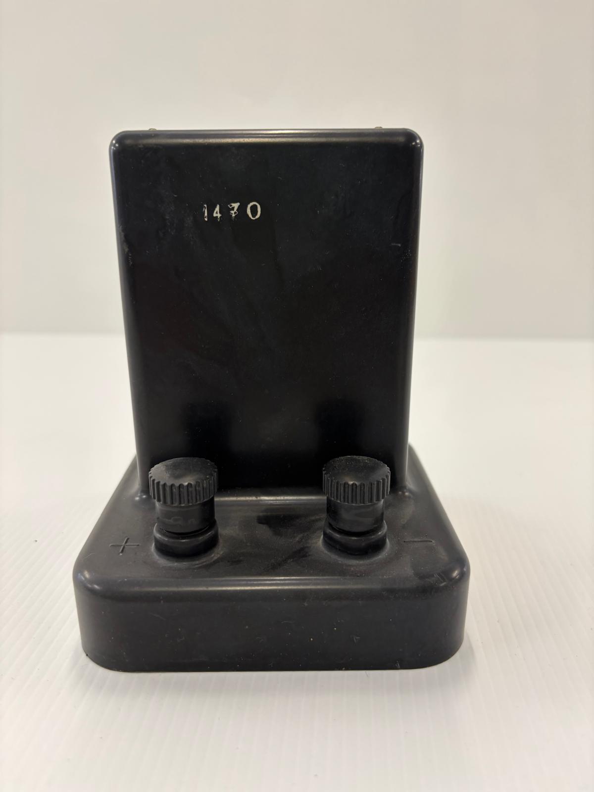 standard cell, PILA CAMPIONE (XIX sec)