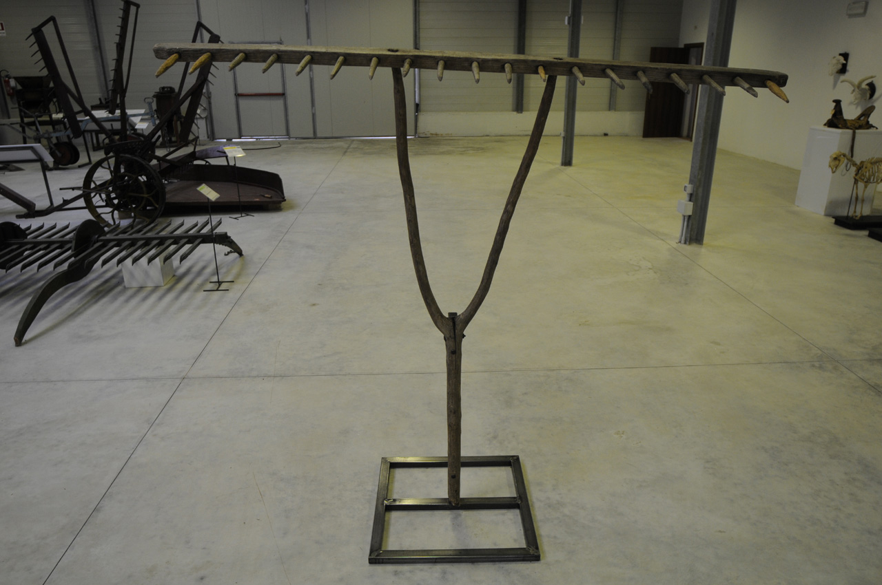 rastrellone, per fieno (sec. XIX)