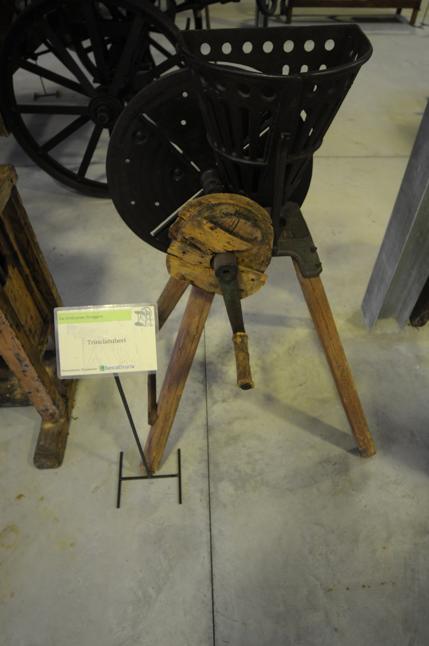 trinciatuberi (sec. XIX)