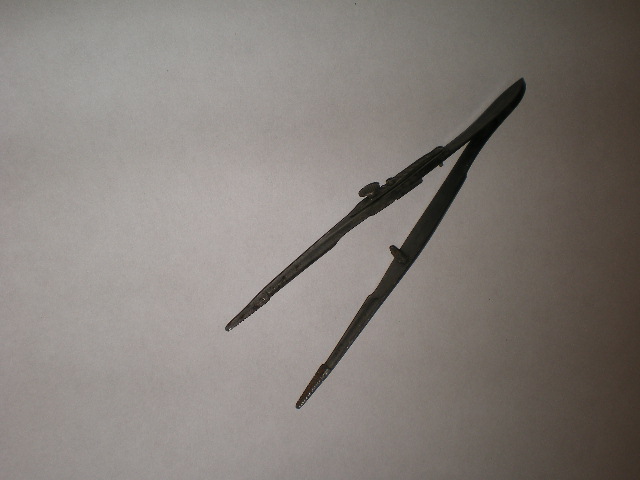 pinza (seconda metà sec. XIX)