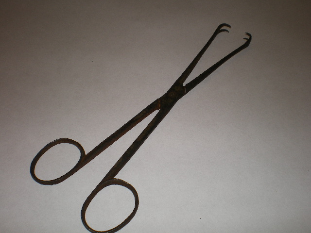 pinza curva a doppio dente (sec. XIX)