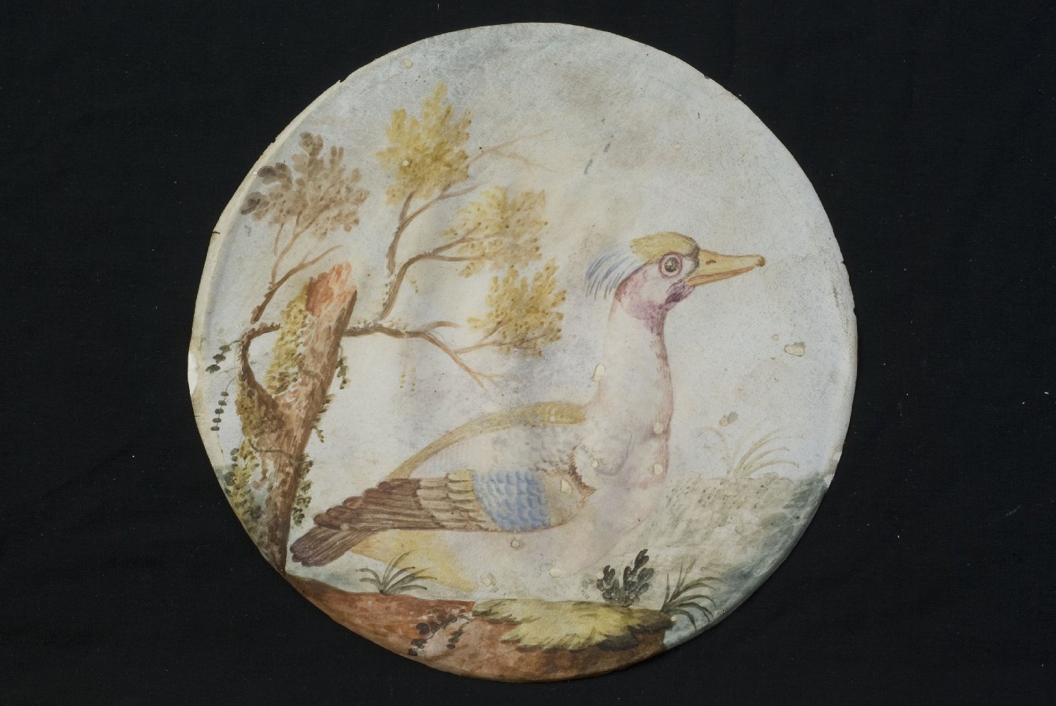 uccello (dipinto, opera isolata) - ambito italiano (sec. XIX)