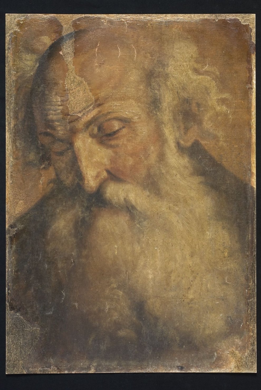 testa di vecchio (dipinto, opera isolata) - ambito bolognese (prima metà sec. XVII)