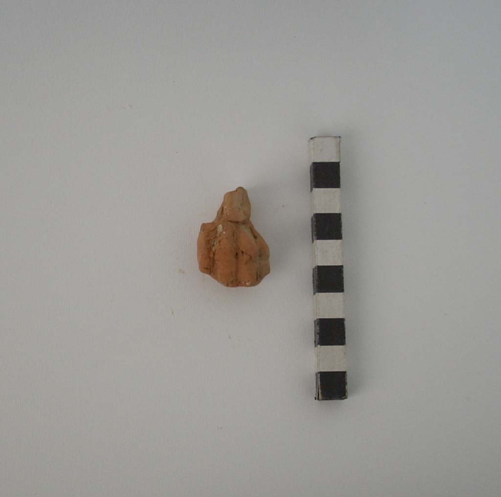 Zampa leonina (statuetta) - ambito messapico (secc. III/ II a.C)