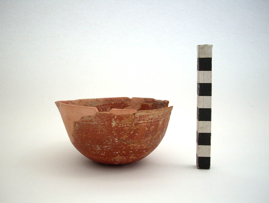 coppa/ a parete convessa (sec. II a.C)