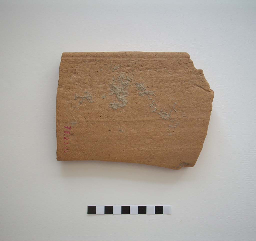 coppo - ambito messapico (secc. I a.C./ I d.C)