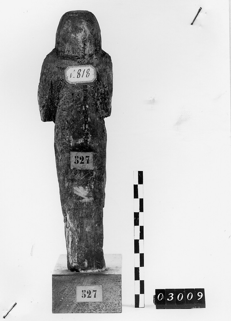Ushabti mummiforme, Schneider Cl.VD (Nuovo Regno XIX-XX)
