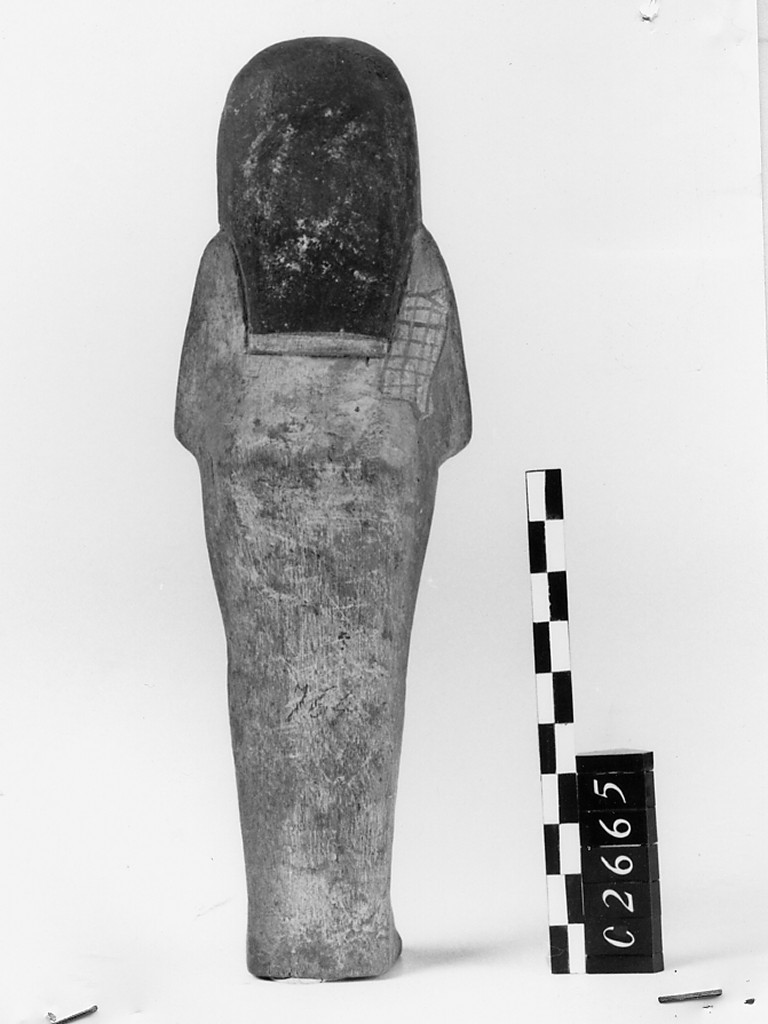 Ushabti mummiforme, Schneider Cl.VB4 (Nuovo Regno)