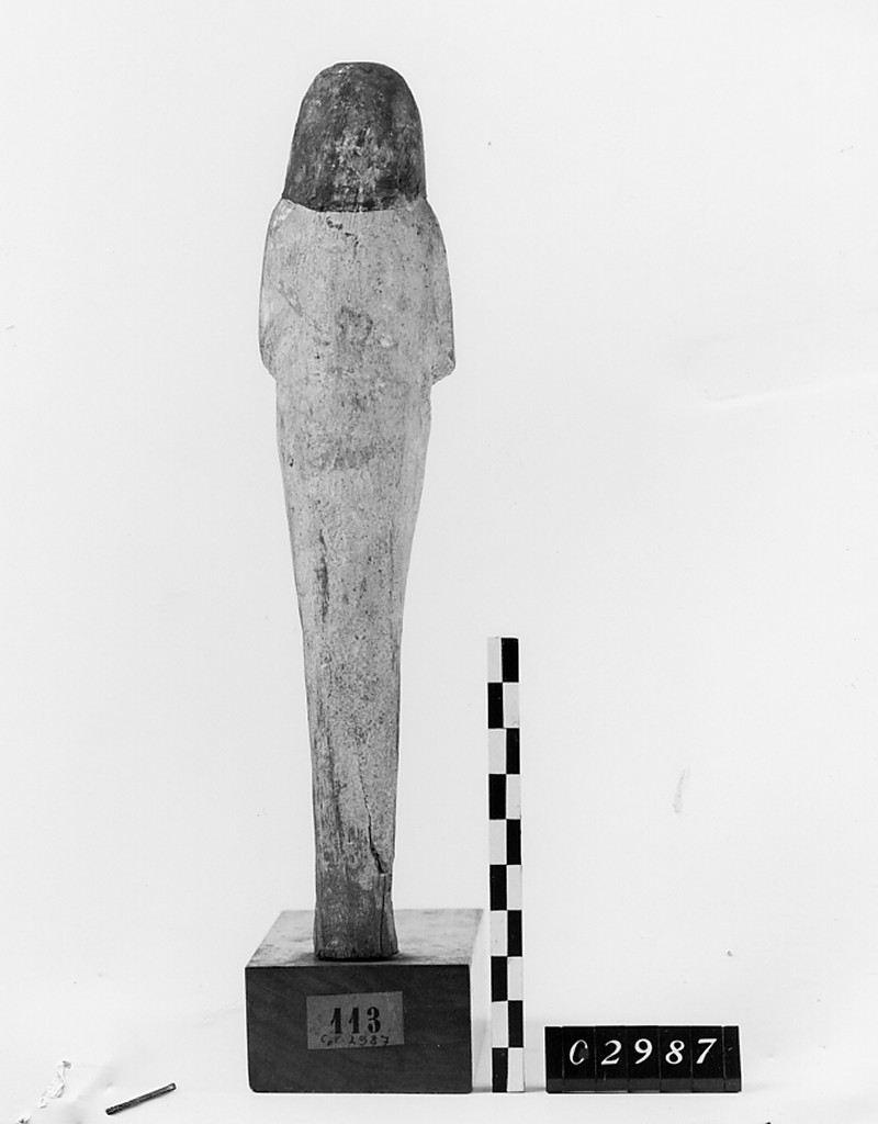 Ushabti mummiforme, Schneider Cl.VD3 (Nuovo Regno XIX-XX)