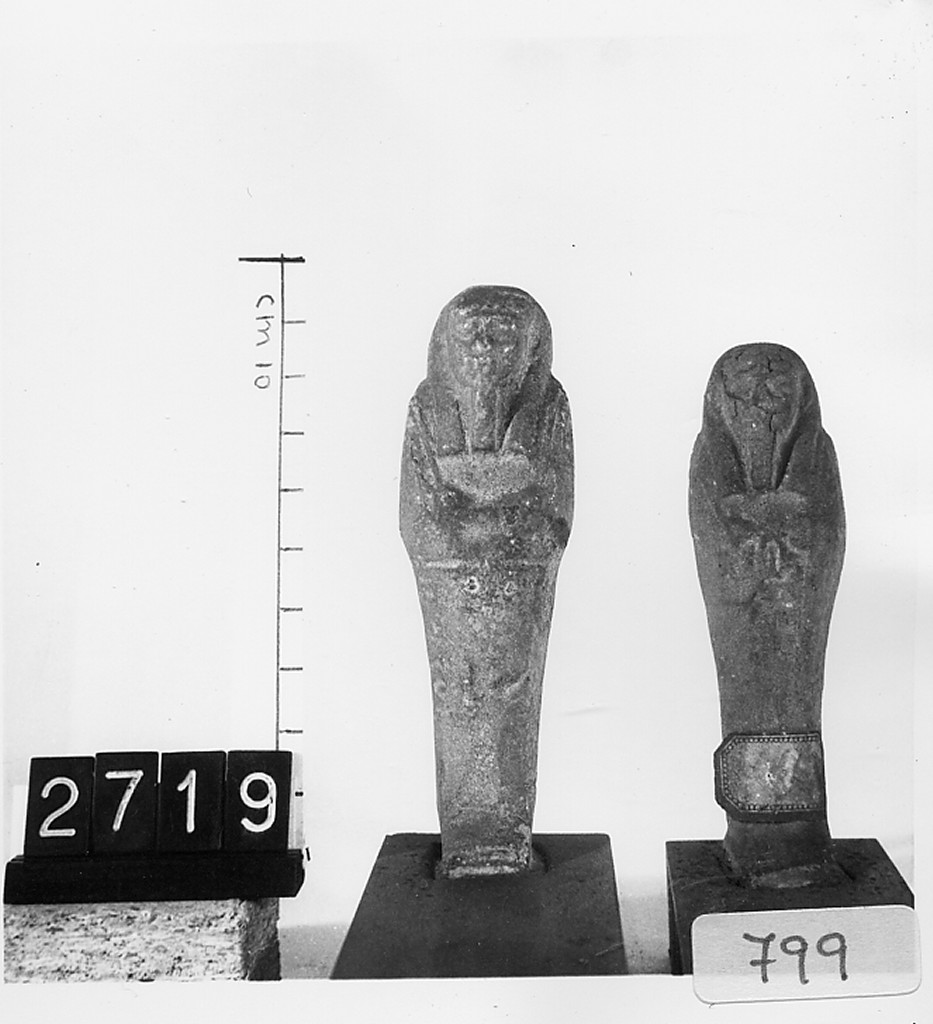 Ushabti mummiforme con pilastro dorsale, Schneider Cl.XIC (Epoca tarda)