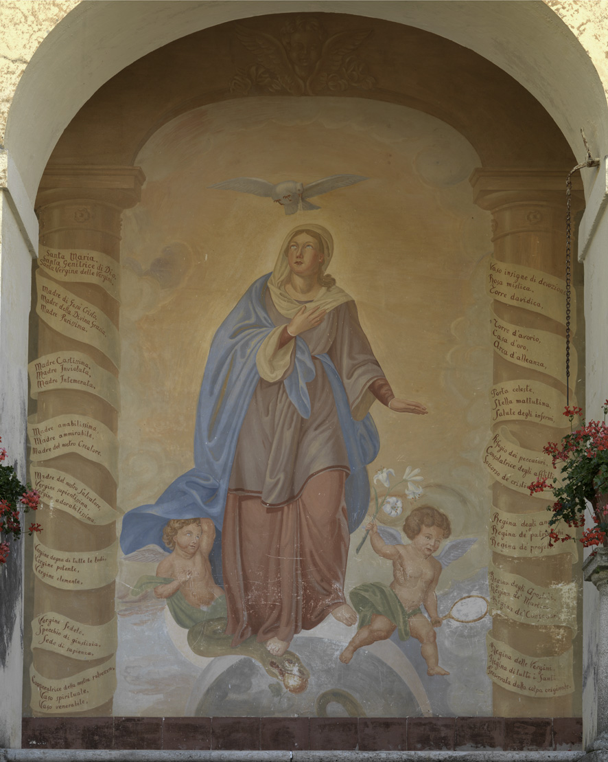 Immacolata Concezione (dipinto murale) di Balbi Filippo (sec. XIX)