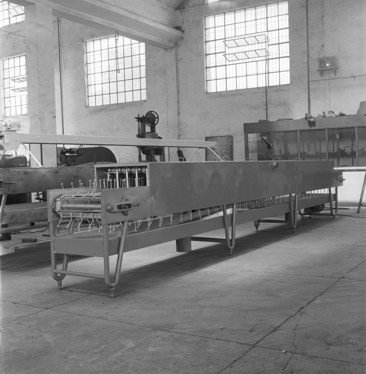 Macchinari industriali - Lavatrice peperoni (negativo) di Rossi, Antonio (studio) (seconda metà XX)