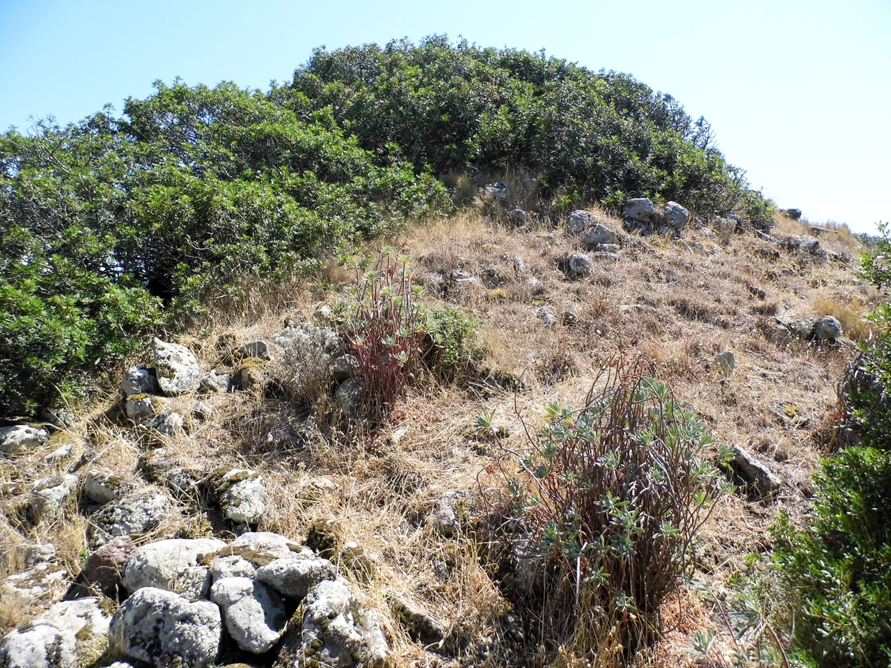 Nuraghe Pedra Mulchitta (nuraghe, struttura di fortificazione) - Sedini (SS)  (secc. XVII - X a.C)