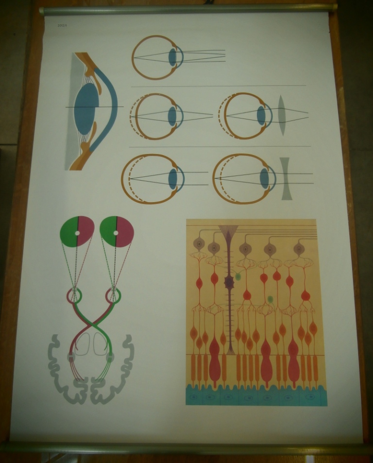 tavola parietale, 2012/ II l'occhio (seconda metà XX sec)