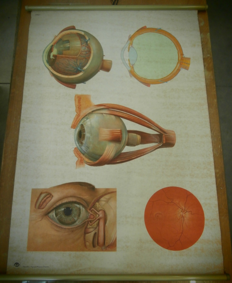 tavola parietale, 2012/I l'occhio (seconda metà XX sec)