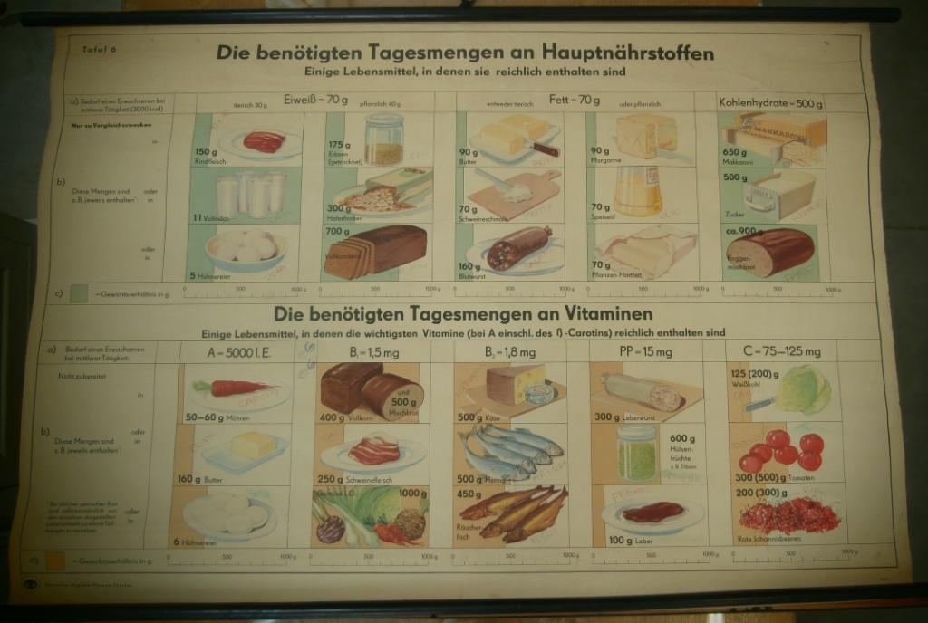 tavola parietale, I quantitativi giornalieri di tutte le sostanze nutritive (seconda metà XX sec)