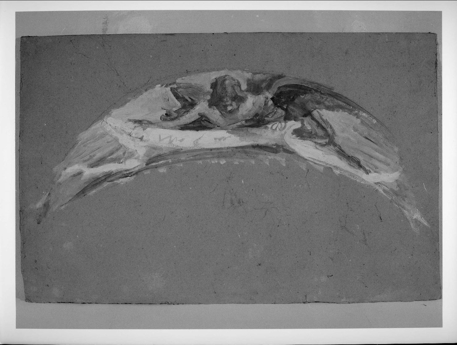 angelo reggicartiglio (disegno) di Bordignon Noè Raimondo (sec. XX)