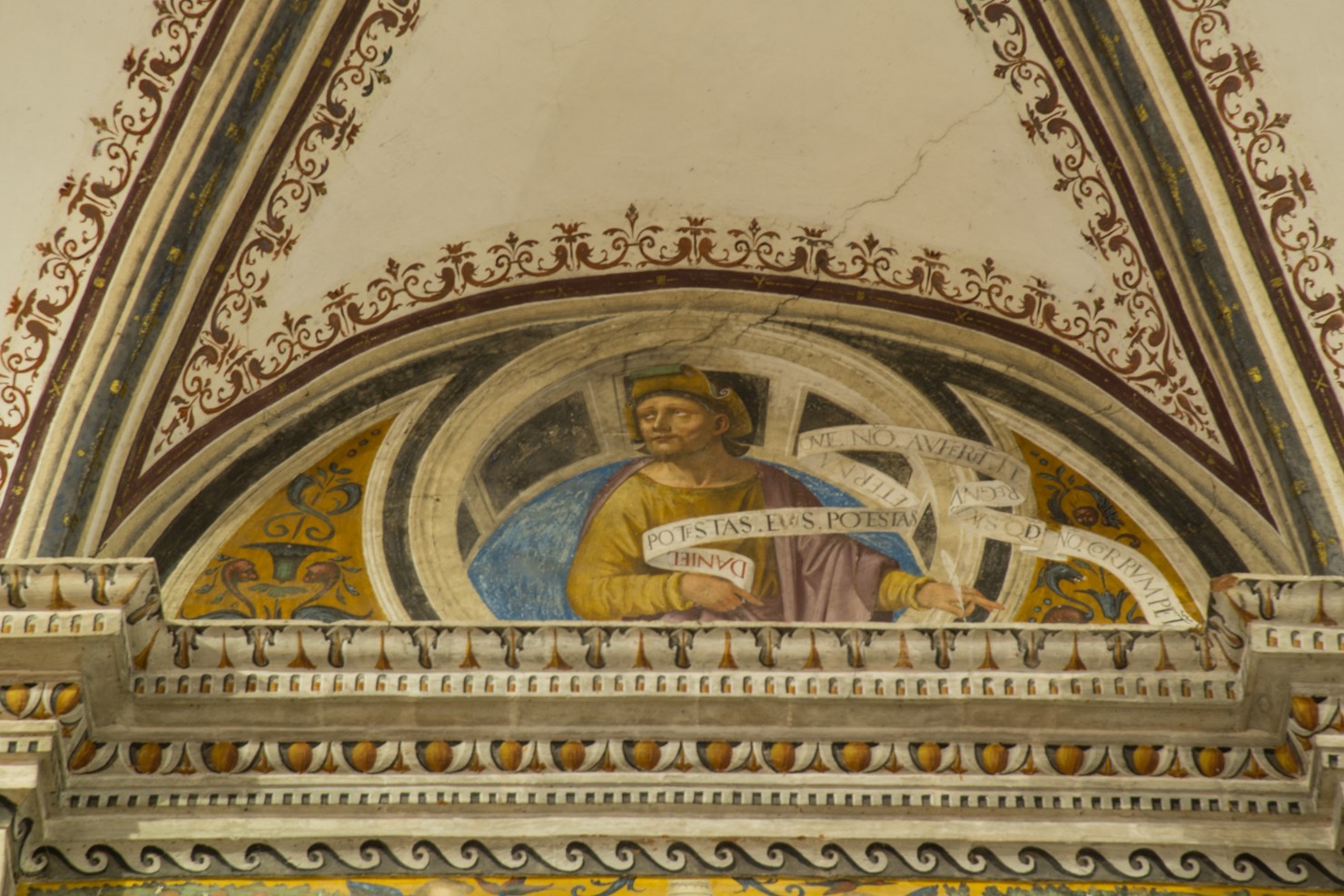 Daniele (dipinto murale, elemento d'insieme) di Moietta Nicola (attribuito) (sec. XVI)