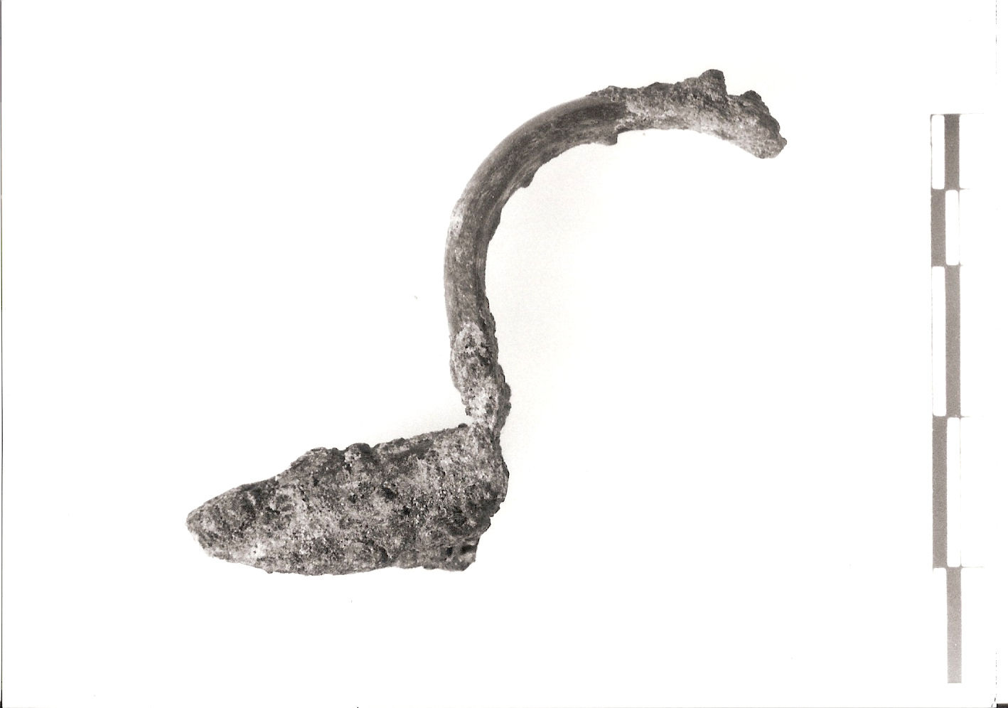 fibula, ad arco semplice (II-III sec. d. C)