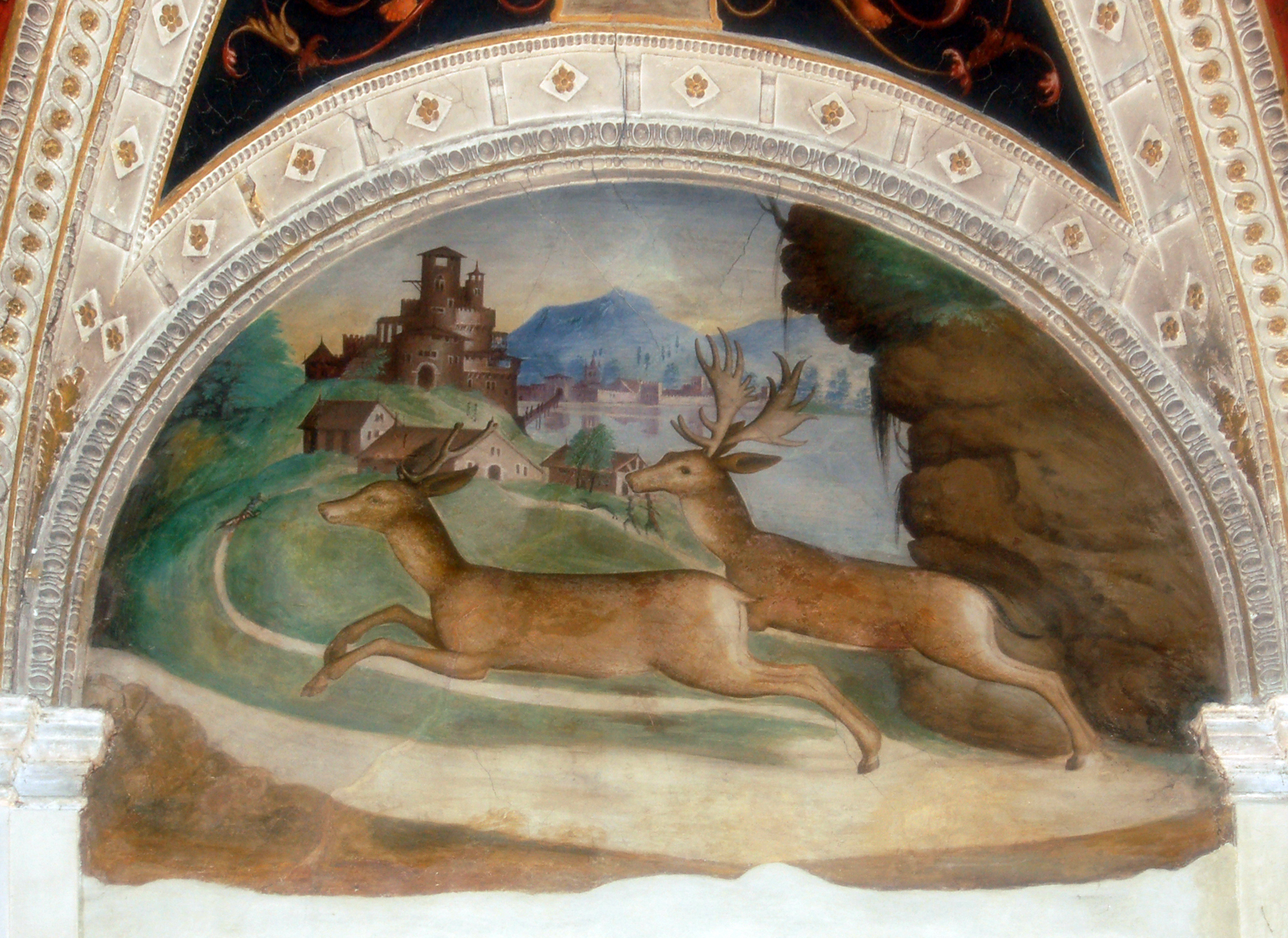due cervi in fuga (decorazione pittorica) di Leonbruno Lorenzo (e aiuti) (sec. XVI)