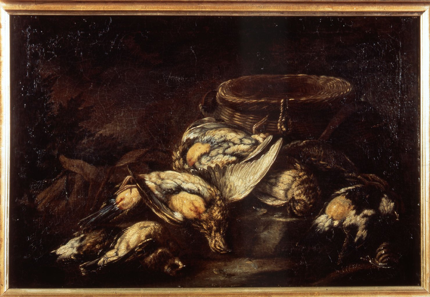 natura morta con cacciagione (dipinto) di De Caro Baldassarre (secondo quarto sec. XVIII)