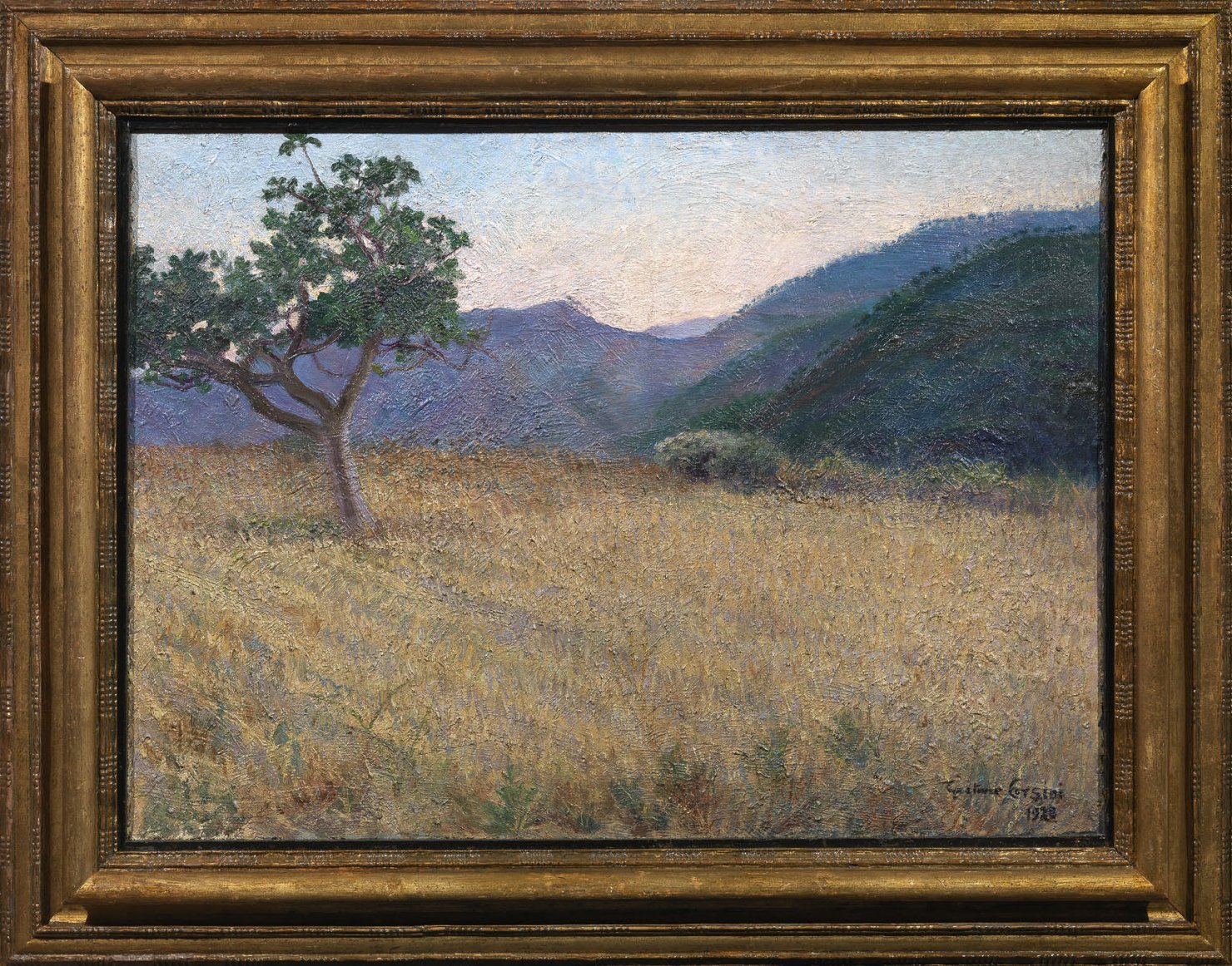 Grano falciato, Veduta di campi di grano (dipinto) di Corsini Gaetano (sec. XX)