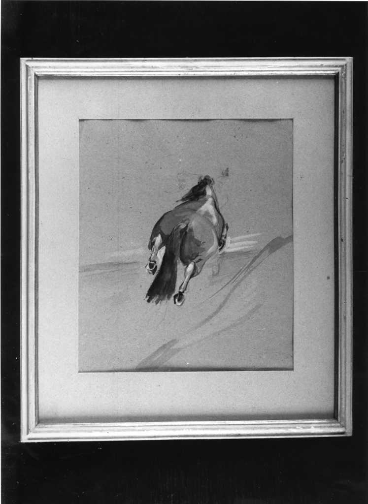 Studio per cavallo, cavallo (dipinto, opera isolata) di Griselli Italo Orlando (sec. XX)