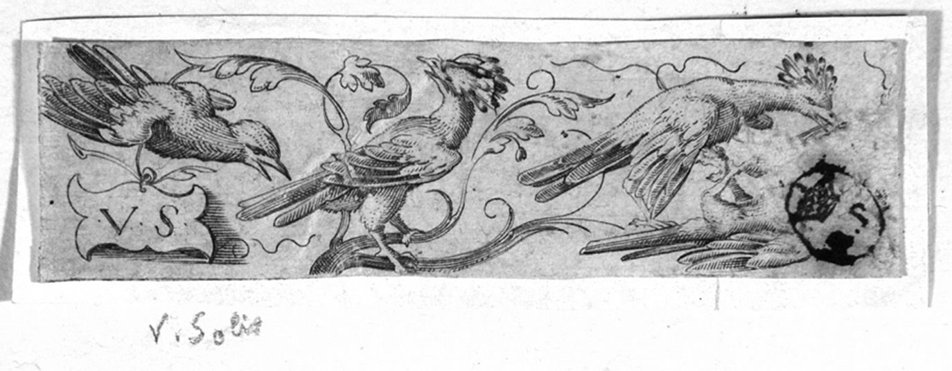 Uccelli, uccelli (stampa tagliata) di Solis Virgil - ambito tedesco (terzo quarto sec. XVI)