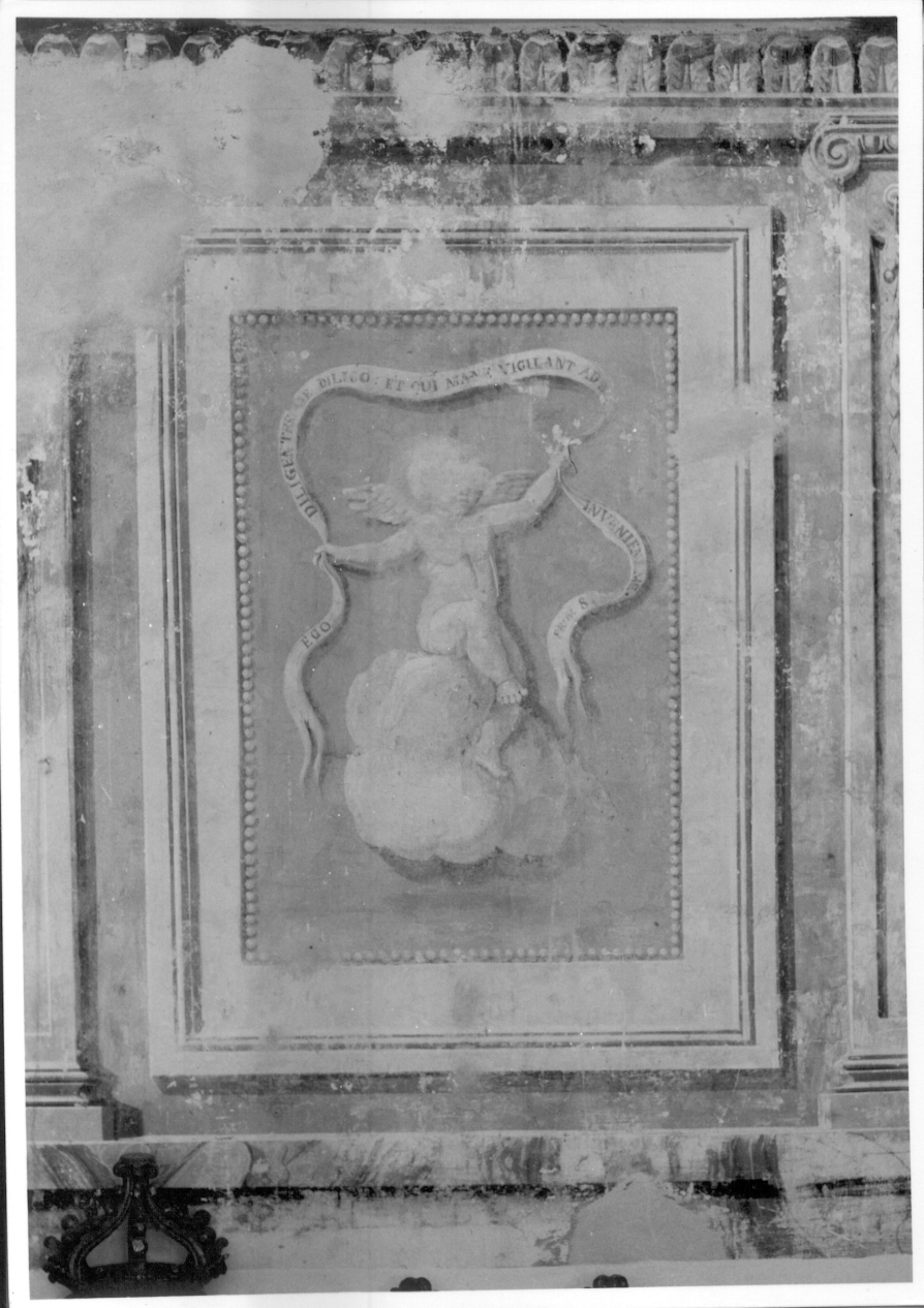angioletto con cartiglio (dipinto murale) - ambito piemontese (ultimo quarto sec. XVIII)