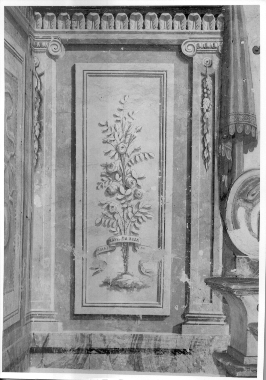 motivo decorativo floreale (dipinto murale) - ambito piemontese (ultimo quarto sec. XVIII)