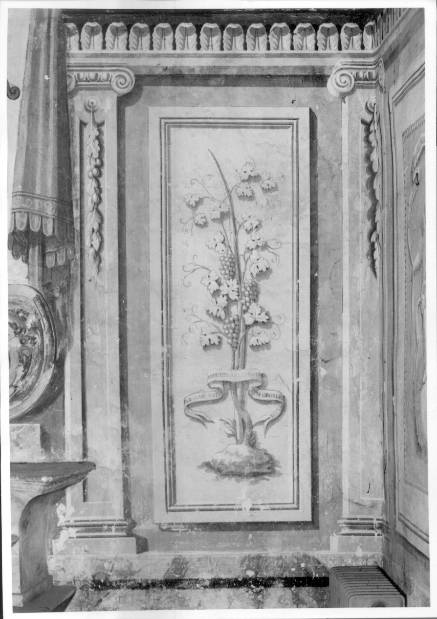 motivo decorativo fitomorfo (dipinto murale) - ambito piemontese (ultimo quarto sec. XVIII)