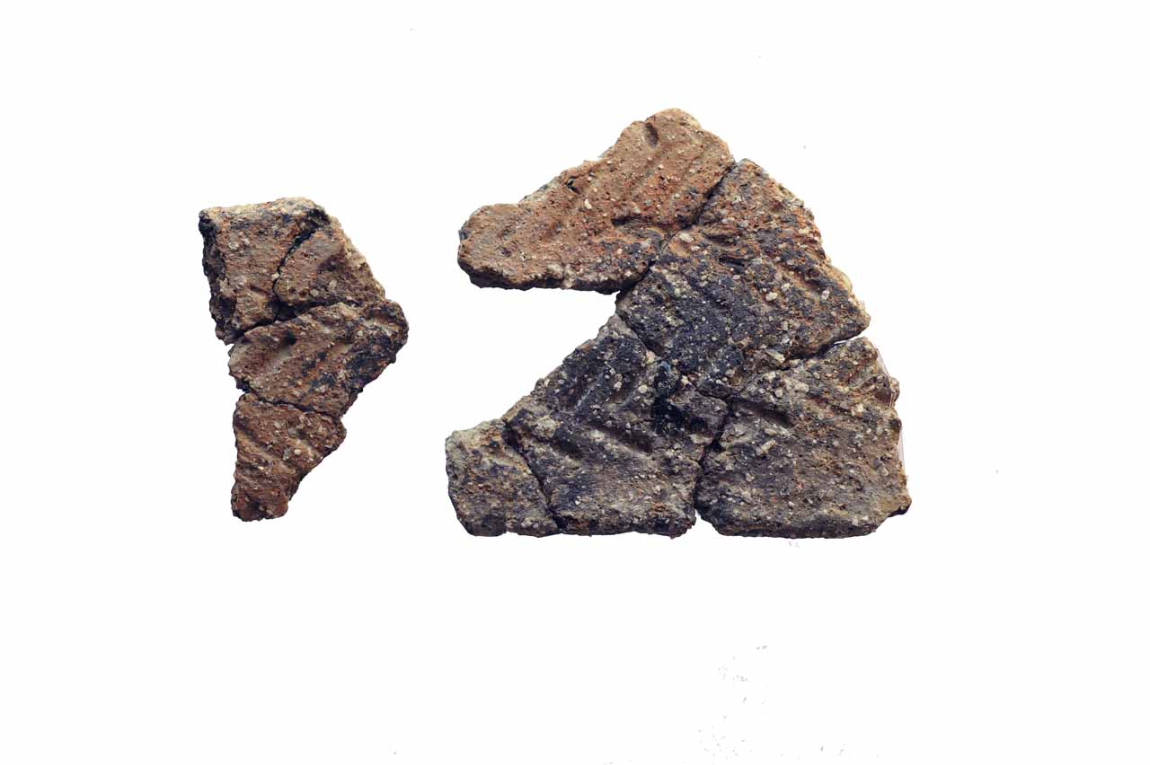 recipiente/ orlo, parete - Cultura dei Vasi a Bocca Quadrata (Neolitico recente)