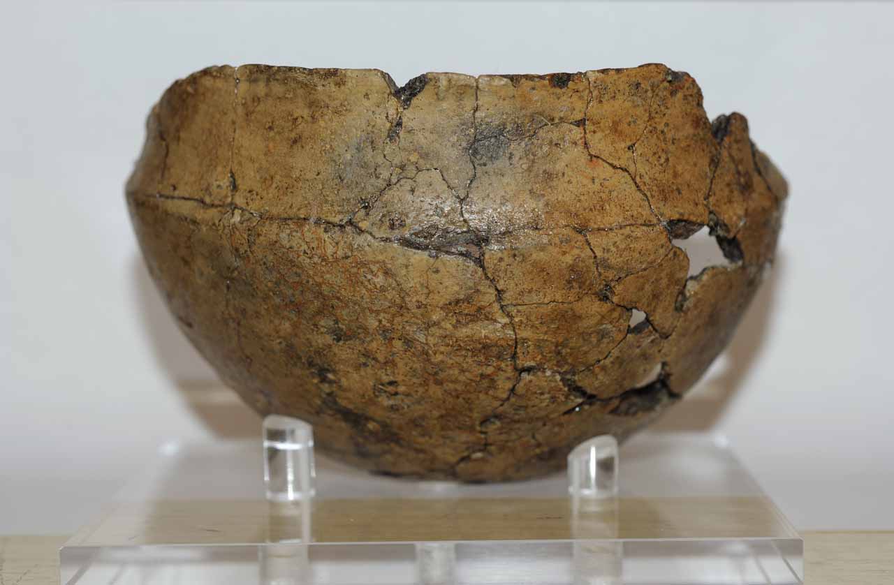 tazza - Facies palafitticolo-terramaricola (fine/ inizio Età del bronzo antico-medio)