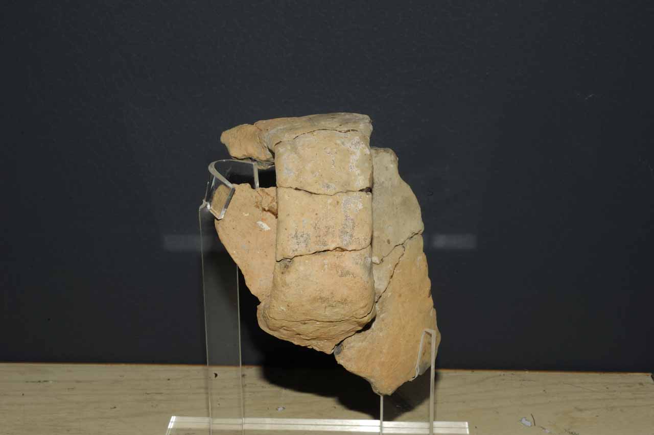 boccaletto/ troncoconico - Facies palafitticolo-terramaricola (fine/ inizio Età del bronzo antico-medio)
