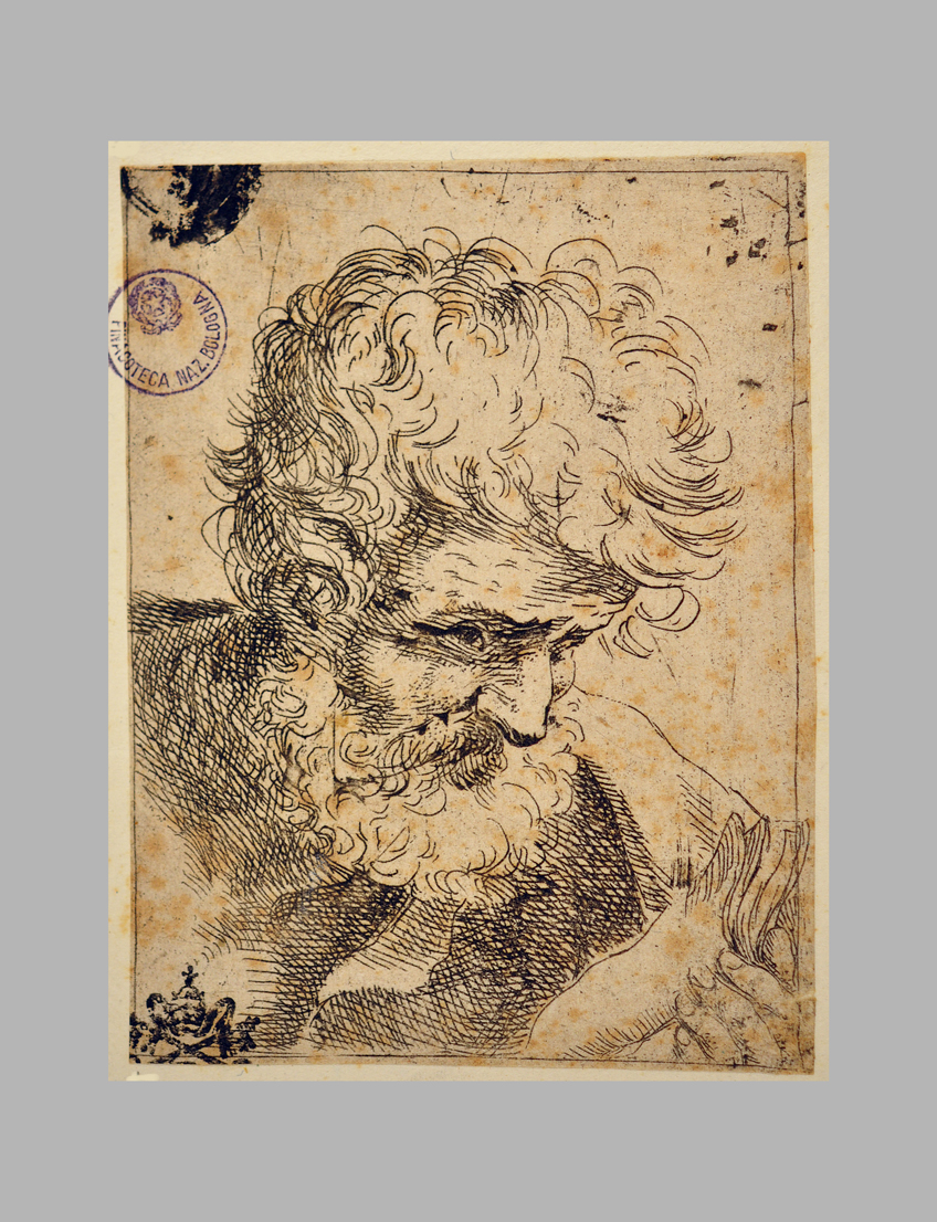 Testa d'uomo barbuto che legge, testa di evangelista (stampa smarginata) di Reni Guido (maniera) (sec. XVII)
